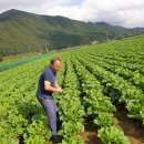 대가주천 이미지