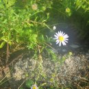 지리산여관 이미지