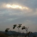 아침이슬펜션민박 이미지