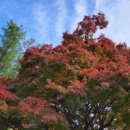 당현천근린공원 이미지