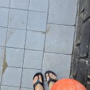 세븐일레븐 진하사랑점 | 진하해수욕장 해수욕 후기 25년 7월 2일/ 무료 주차장, 파라솔, 튜브