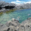 지구촌 수영장 이미지