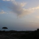 보보(bovo)