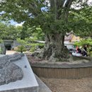 노치경로당 이미지