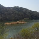 민속인삼