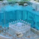 개미 농장 이미지