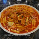 뉴카스타운