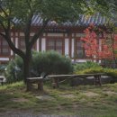 마재 Daum카페