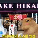 히카리광 네이버블로그