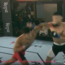 국제UFC태권도