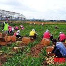 미성동-17 이미지