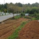 남해-255 이미지