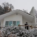 서일농장1 이미지