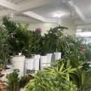 스마일화원 이미지