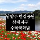 6/17(화)16시/남양주 삼패리한강공원 수레국화&amp; 물양귀비 이미지