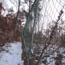 영우목장 이미지