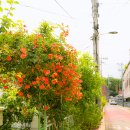 남평경로당 이미지