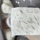 늘채움뷰티 - 창원시 진해구 천자로 383 | 늘채움뷰티