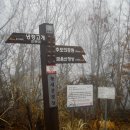 대성산업(주)구마고속주유소 | 낙남정맥 제11구간 냉정고개에서 영운리고개까지 산행 후기