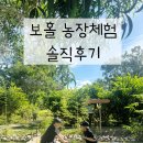 자연먹은꺼먹돼지농장 | 보홀 오셔니카농장 후기 🌴 생각보다 더웠던 농장체험 (유료체험, 방문시간 팁)