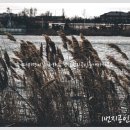 1번지공인중개사사무소 이미지