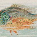 건담한의원 이미지