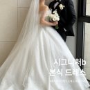 빌라드네프 | 시그니처b 본식 드레스 결혼식 당일 후기 [빌라드아모르 이천]