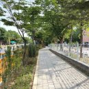 (주)허그린 네이버블로그