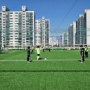 돌마로366번길 이미지