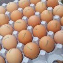 고운농장 이미지