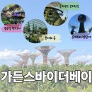 우림슈퍼 | 바이더베이-플로럴 판타지, 플라워돔, 클라우드포레스트🌳🌸🏵️(운영시간, 입장료, 관람후기 모두 한 번에!)
