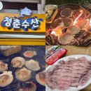 안면도 수산시장 청춘수산 내돈내산 후기: 태안 여행 중 가성비 회 맛집