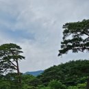 양산시종합관광안내소 이미지