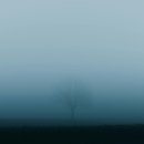 성모의원 이미지