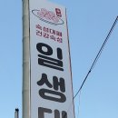 일생대패