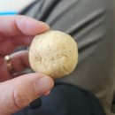 가치잇 케이크