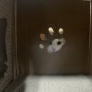 운남동물병원 이미지