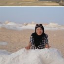 은하수기획 동아일보