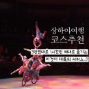 도원리 공중화장실(도로변) | 중국 상하이 여행 코스 상해 마시청 서커스 예약 방법 최저가 가격 비교 예매