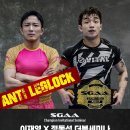 강동와이어주짓수 이미지
