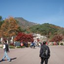 용문사 - 1144 | 용문사