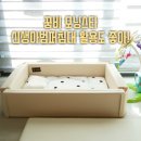 모닝스타주