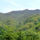 민주지산자연휴양림 이미지