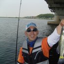 장안대교(밑) 이미지