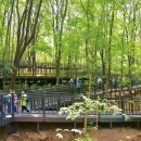 수락산 순환산책로 이미지