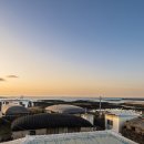 눈먼고래 이미지