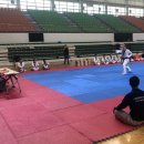 타이거 태권도장 Daum카페