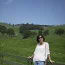 영철목장 이미지