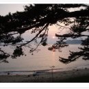 지리해수욕장 이미지