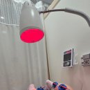 청담동라인한의원 | [한의원] 종아리붓기 청담동한의원 솔직 후기 다리가 정말 가벼워졌어요